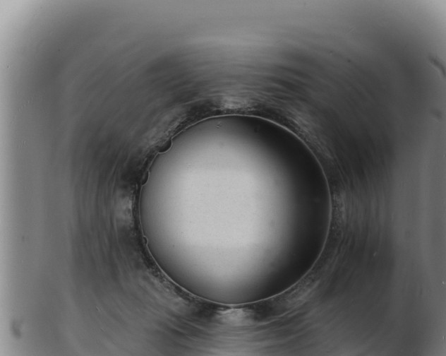 X0000103240269200809041053