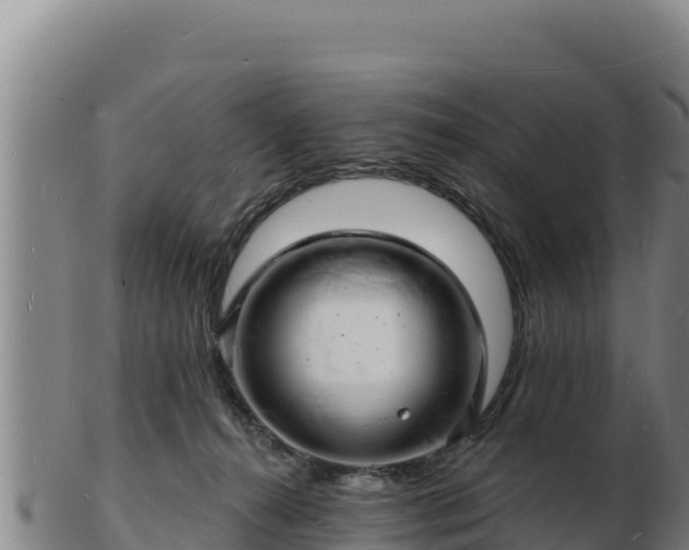 X0000103240272200809041053