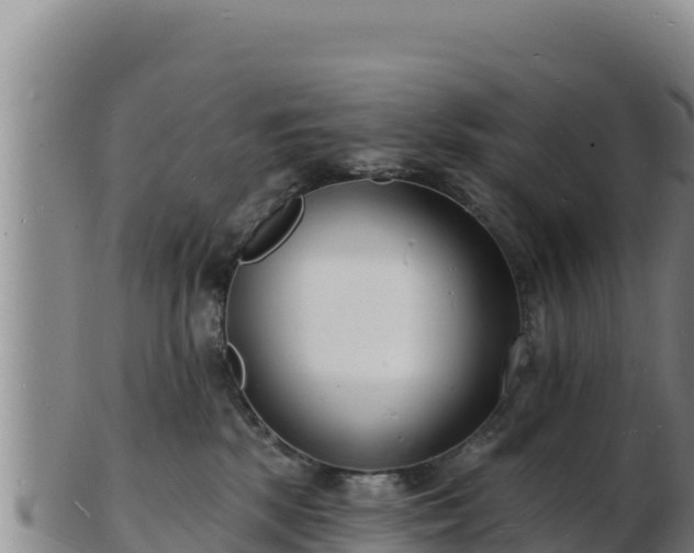 X0000103240281200809041053