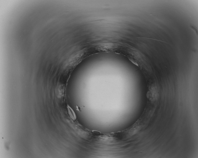 X0000103240284200809041053