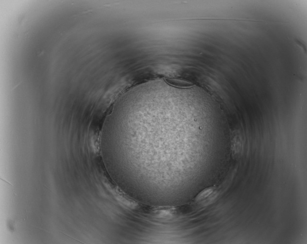 X0000103240285200809041053