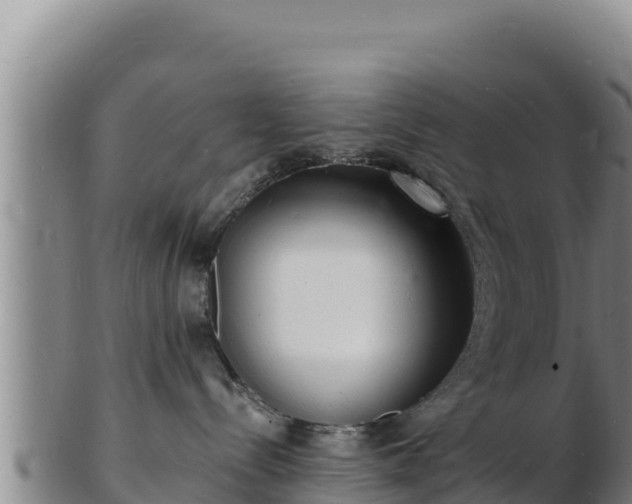 X0000103240288200809041054