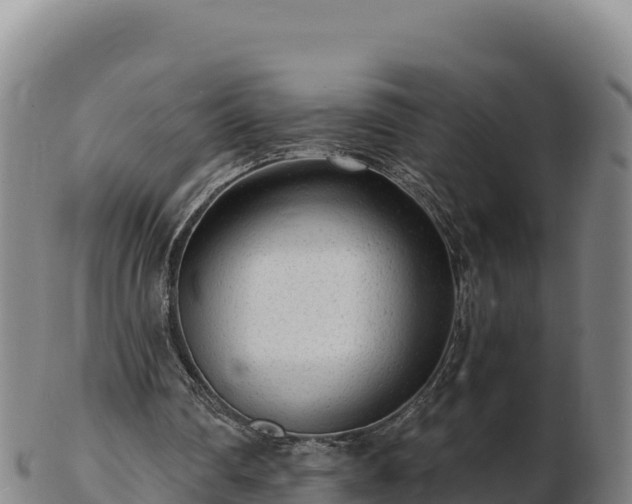 X0000103240290200809041053