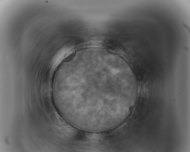 X0000103240293200809041053