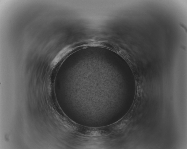 X0000103240295200809041053