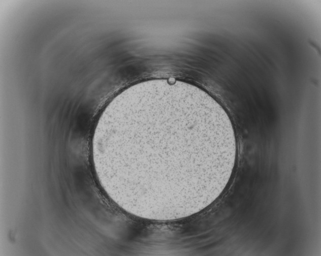 X0000103240297200809041053