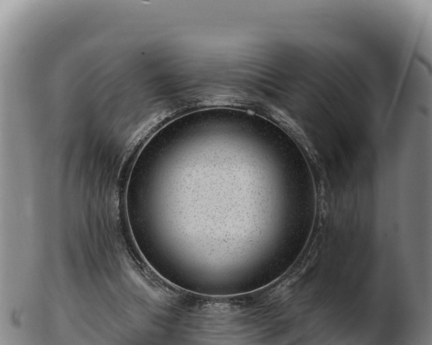 X0000103240298200809041053