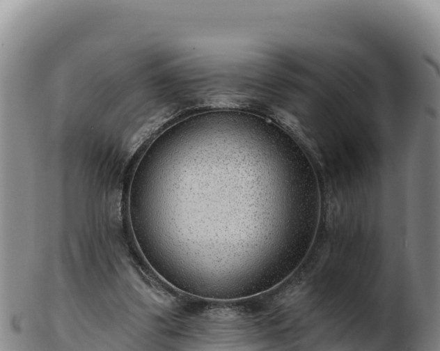 X0000103240299200809041053