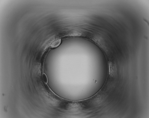 X0000103240300200809041053