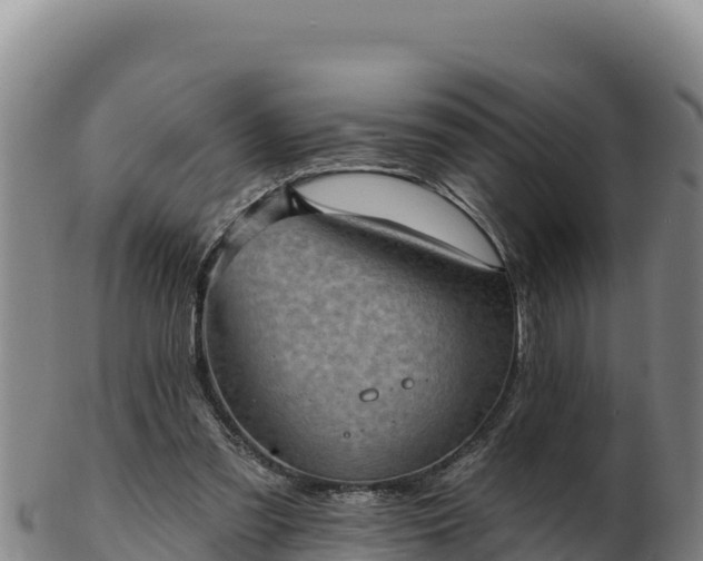 X0000103240301200809041053