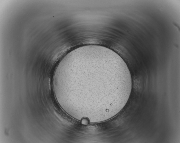 X0000103240302200809041053