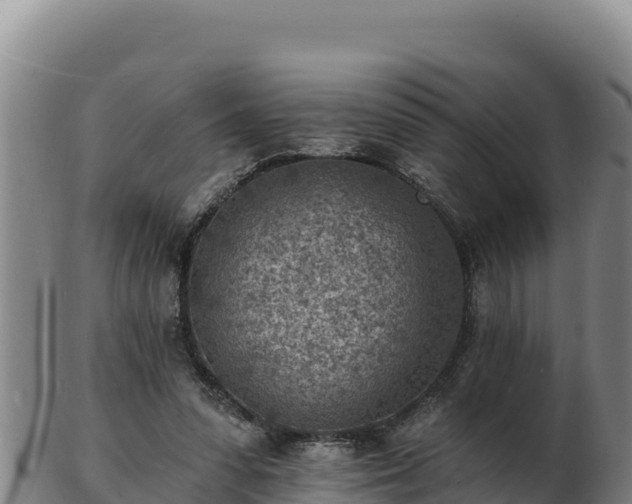 X0000103240303200809041053