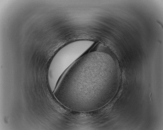 X0000103240305200809041053