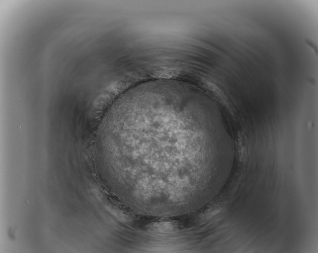 X0000103240307200809041053