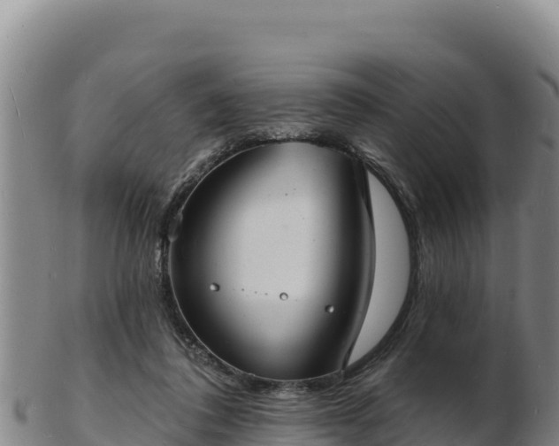 X0000103240308200809041053