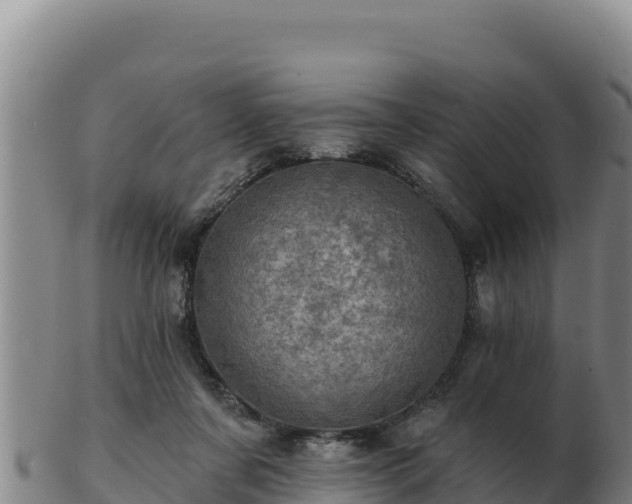 X0000103240311200809041053