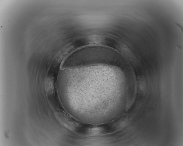 X0000103240312200809041053