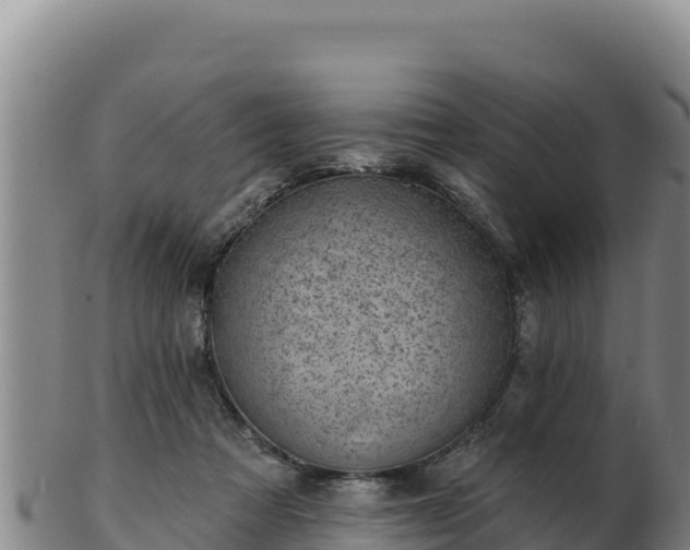 X0000103240313200809041053