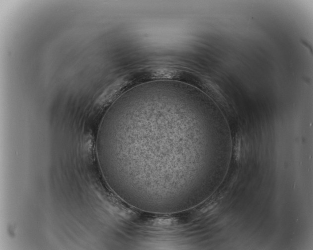 X0000103240314200809041053