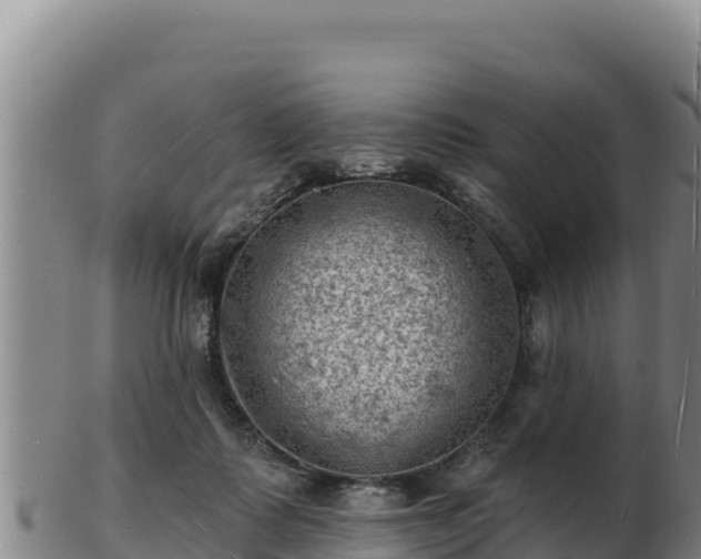 X0000103240315200809041052