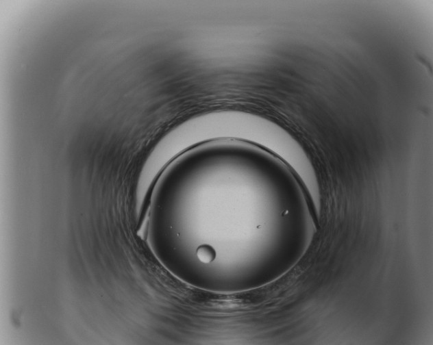 X0000103240316200809041052