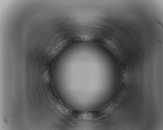 X0000103240317200809041052