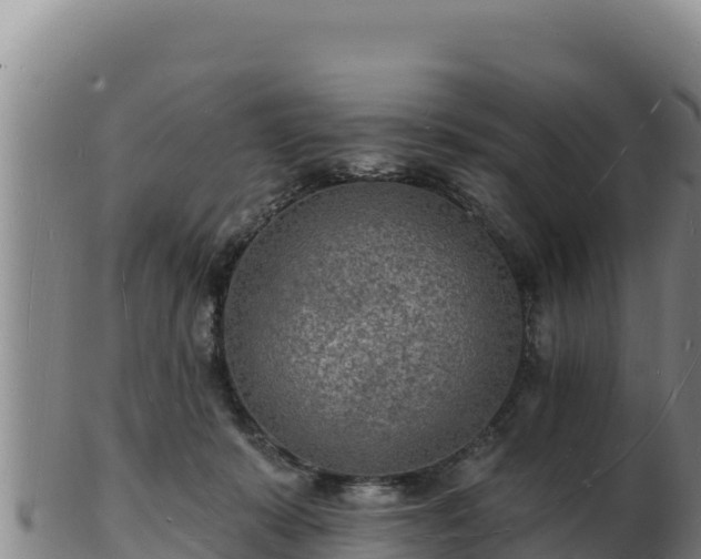 X0000103240319200809041052