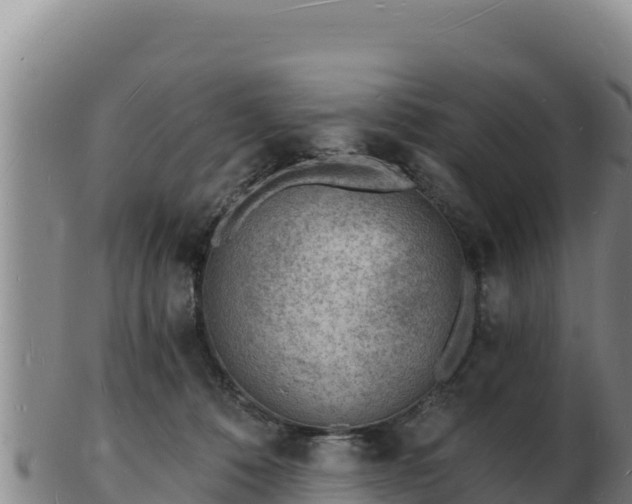 X0000103240320200809041052