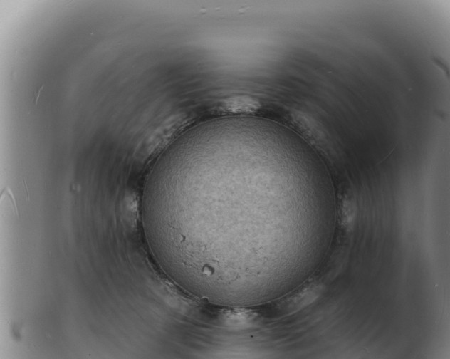 X0000103240321200809041052