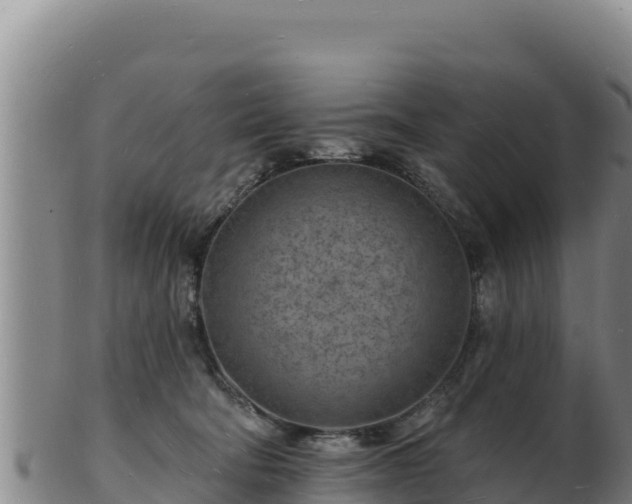 X0000103240322200809041052