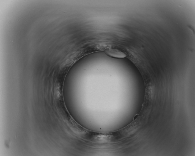 X0000103240323200809041052