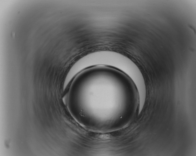 X0000103240324200809041052