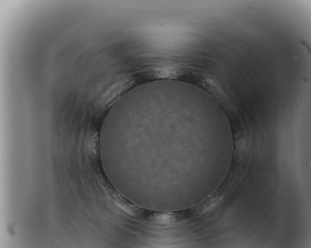 X0000103240325200809041052