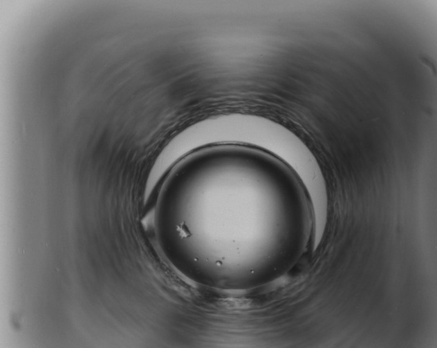 X0000103240328200809041052