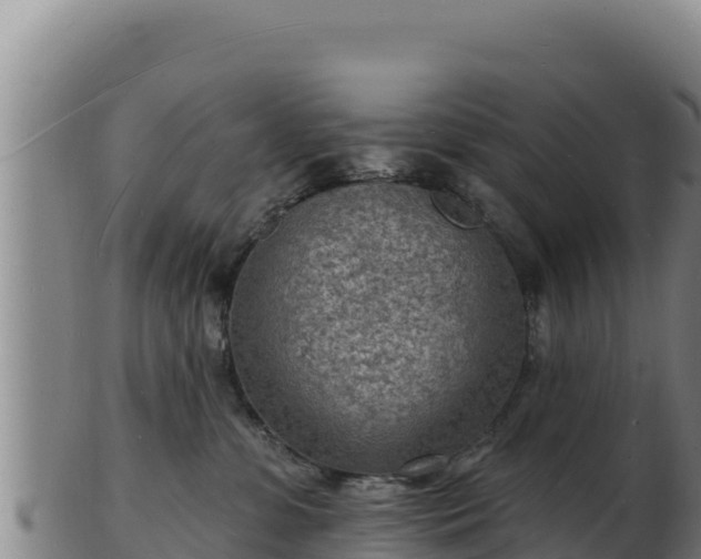 X0000103240331200809041052