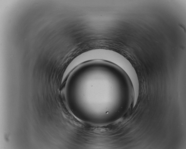 X0000103240332200809041052