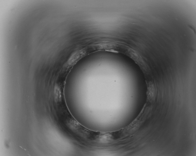 X0000103240333200809041052