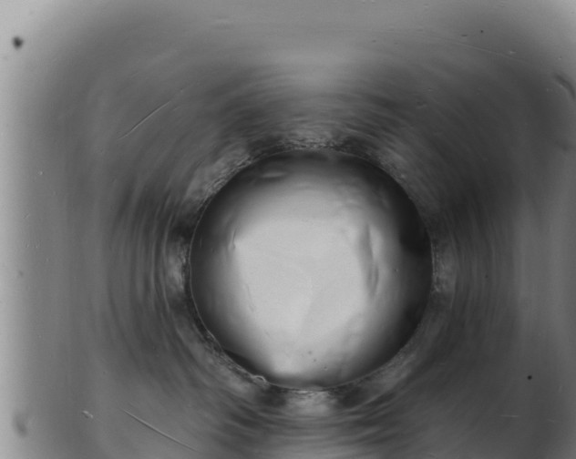 X0000103240334200809041052