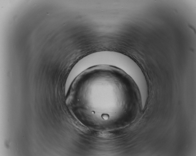 X0000103240336200809041052