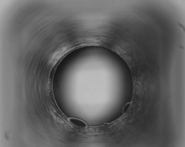 X0000103240338200809041052