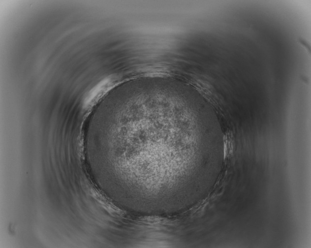 X0000103240339200809041052