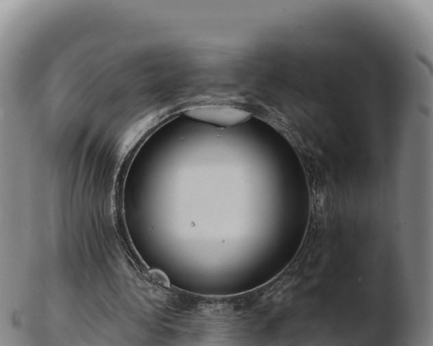 X0000103240340200809041052