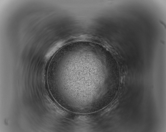 X0000103240341200809041052