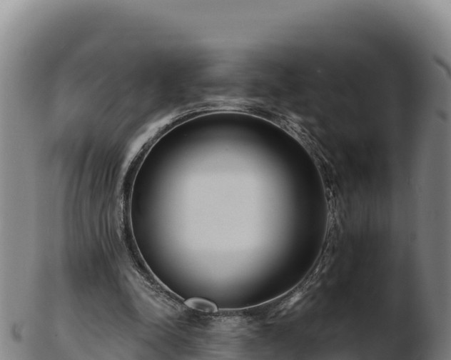 X0000103240342200809041052