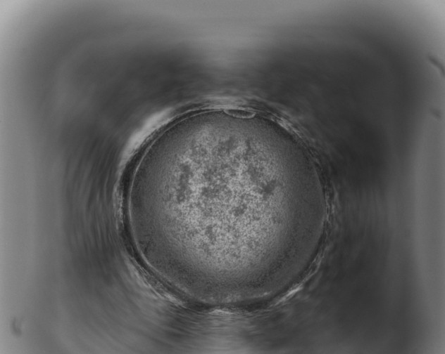 X0000103240343200809041052