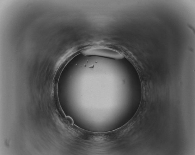 X0000103240344200809041052