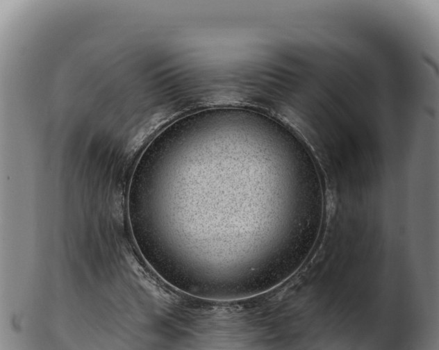 X0000103240345200809041052