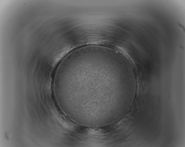 X0000103240346200809041052