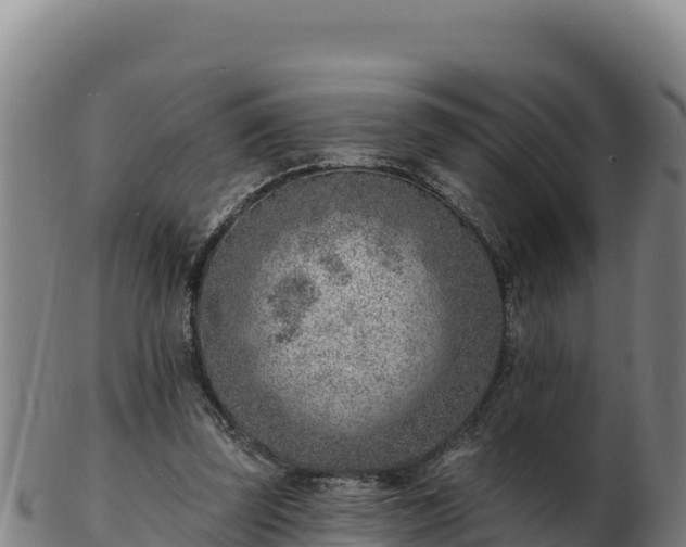 X0000103240347200809041052