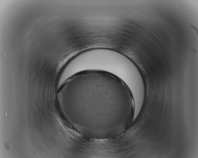 X0000103240348200809041052